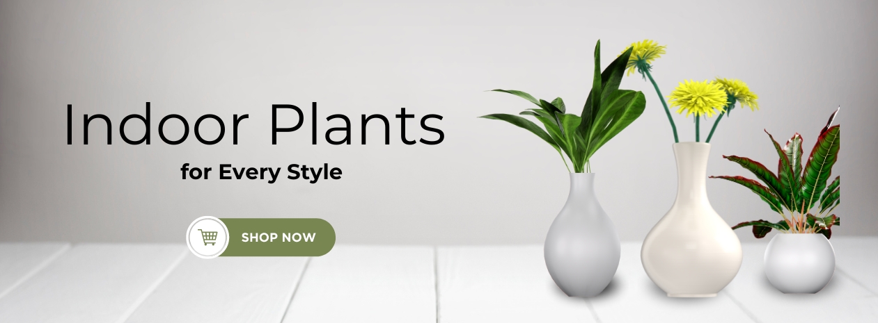 xr:d:DAF_XehkQHo:28,j:7223069417019903716,t:24031305