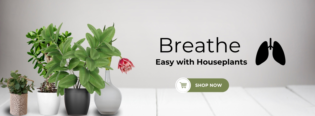 xr:d:DAF_XehkQHo:33,j:7497788993143753275,t:24031305