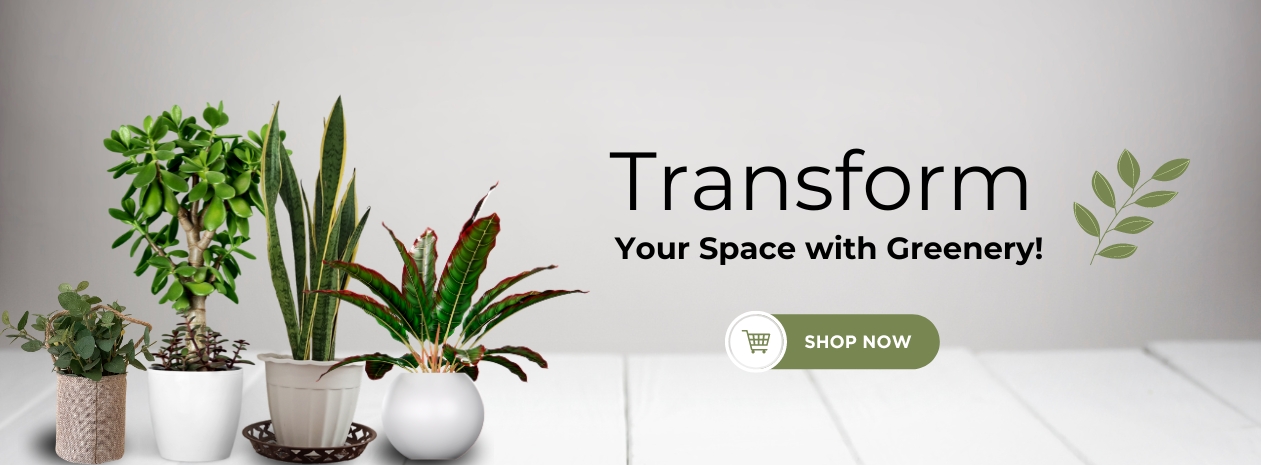 xr:d:DAF_XehkQHo:22,j:6996763537207511512,t:24031305